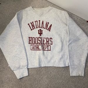 Cropped IU Sweatshirt — S/M